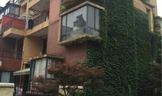 西安万科四季花城为什么卖不动 武汉万科四季花城